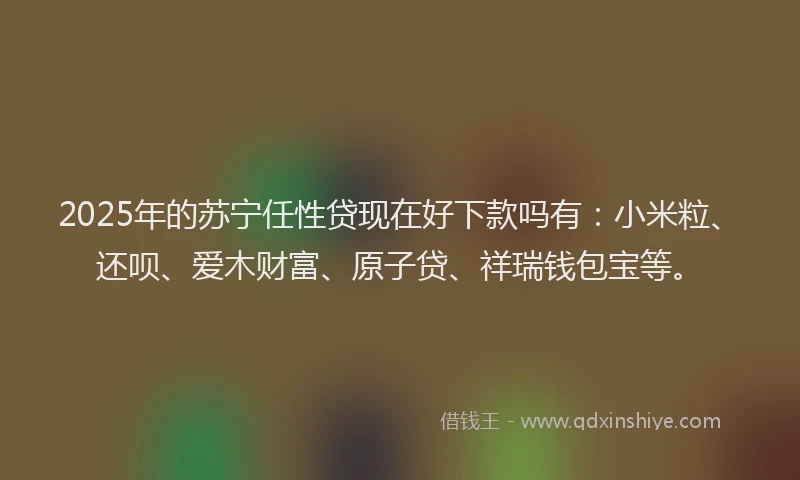 2025年的苏宁任性贷现在好下款吗有：小米粒、还呗、爱木财富、原子贷、祥瑞钱包宝等。