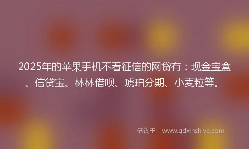 2025年的苹果手机不看征信的网贷有：现金宝盒、信贷宝、林林借呗、琥珀分期、小麦粒等。