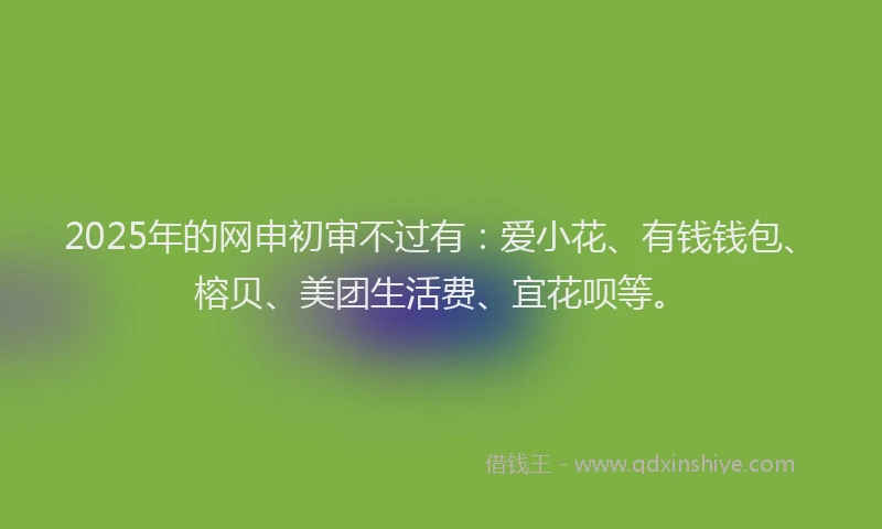 2025年的网申初审不过有：爱小花、有钱钱包、榕贝、美团生活费、宜花呗等。