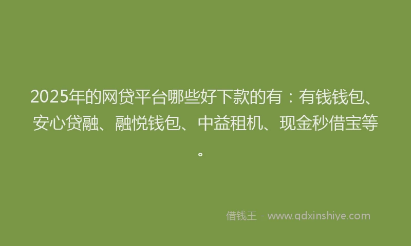 2025年的网贷平台哪些好下款的有：有钱钱包、安心贷融、融悦钱包、中益租机、现金秒借宝等。