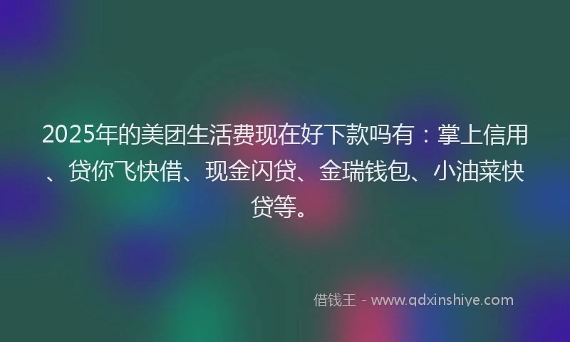 2025年的美团生活费现在好下款吗有：掌上信用、贷你飞快借、现金闪贷、金瑞钱包、小油菜快贷等。