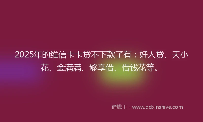 2025年的维信卡卡贷不下款了有：好人贷、天小花、金满满、够享借、借钱花等。