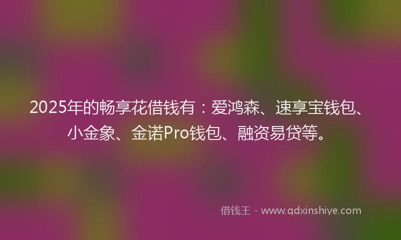 2025年的畅享花借钱有：爱鸿森、速享宝钱包、小金象、金诺Pro钱包、融资易贷等。