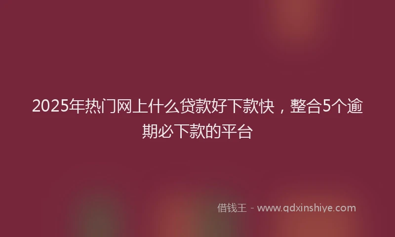 2025年热门网上什么贷款好下款快，整合5个逾期必下款的平台