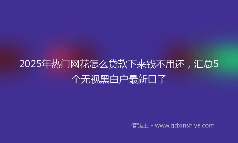 2025年热门网花怎么贷款下来钱不用还，汇总5个无视黑白户最新口子
