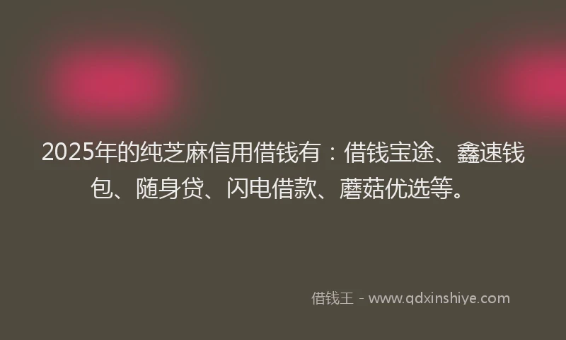 2025年的纯芝麻信用借钱有：借钱宝途、鑫速钱包、随身贷、闪电借款、蘑菇优选等。