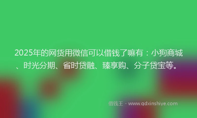 2025年的网货用微信可以借钱了嘛有：小狗商城、时光分期、省时贷融、臻享购、分子贷宝等。