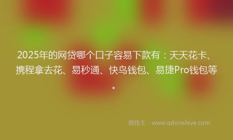 2025年的网贷哪个口子容易下款有：天天花卡、携程拿去花、易秒通、快鸟钱包、易捷Pro钱包等。
