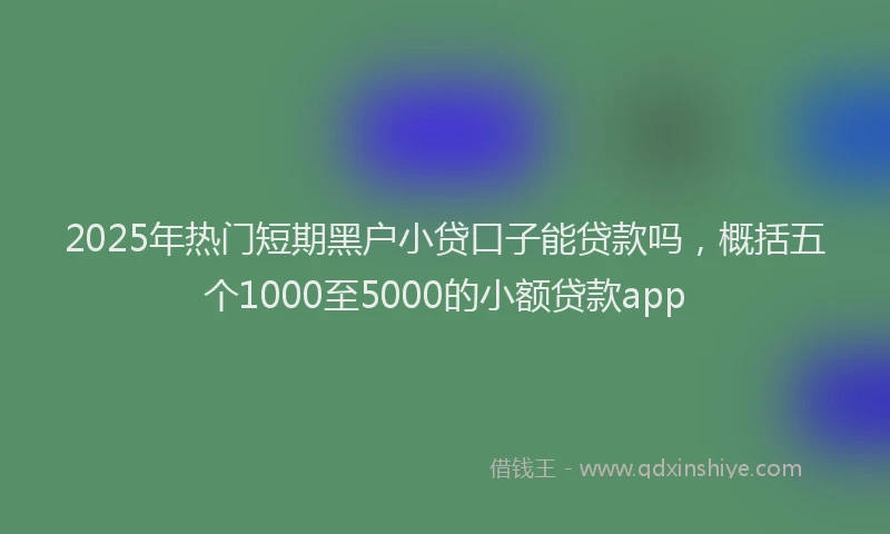 2025年热门短期黑户小贷口子能贷款吗，概括五个1000至5000的小额贷款app