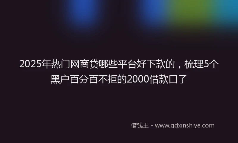 2025年热门网商贷哪些平台好下款的，梳理5个黑户百分百不拒的2000借款口子