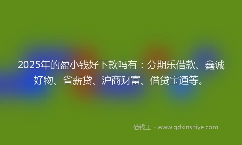 2025年的盈小钱好下款吗有：分期乐借款、鑫诚好物、省薪贷、沪商财富、借贷宝通等。