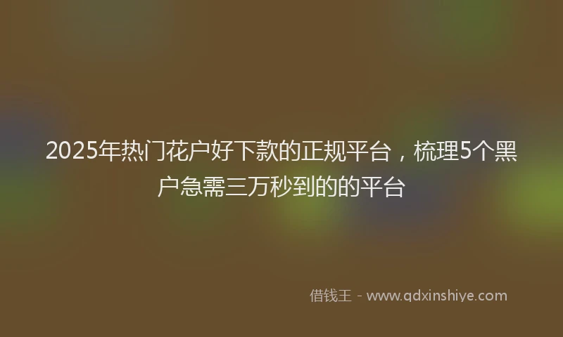 2025年热门花户好下款的正规平台，梳理5个黑户急需三万秒到的的平台