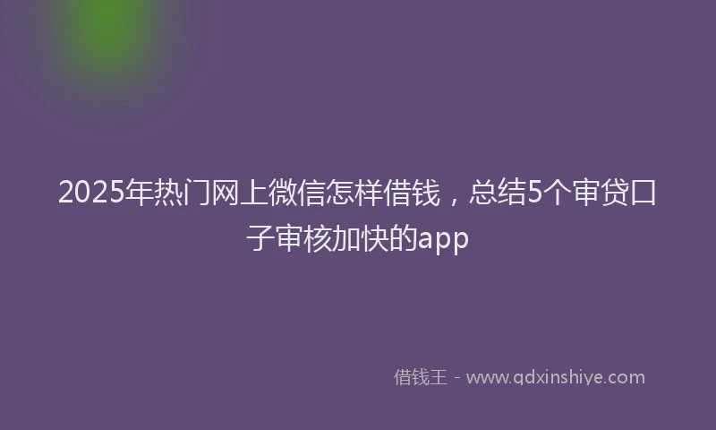 2025年热门网上微信怎样借钱，总结5个审贷口子审核加快的app
