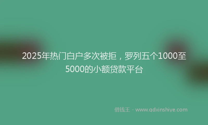 2025年热门白户多次被拒，罗列五个1000至5000的小额贷款平台