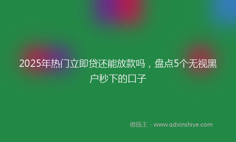 2025年热门立即贷还能放款吗，盘点5个无视黑户秒下的口子