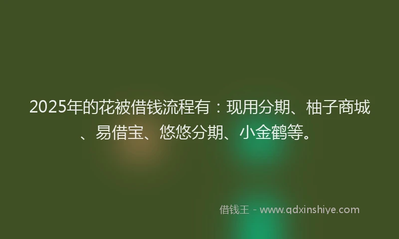 2025年的花被借钱流程有：现用分期、柚子商城、易借宝、悠悠分期、小金鹤等。