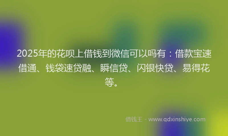 2025年的花呗上借钱到微信可以吗有：借款宝速借通、钱袋速贷融、瞬信贷、闪银快贷、易得花等。