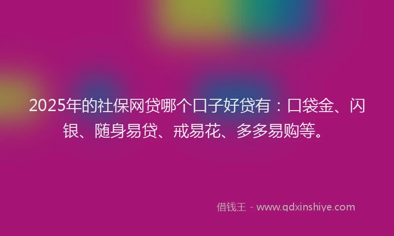 2025年的社保网贷哪个口子好贷有：口袋金、闪银、随身易贷、戒易花、多多易购等。