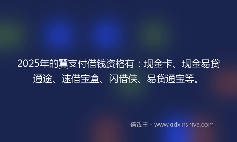 2025年的翼支付借钱资格有：现金卡、现金易贷通途、速借宝盒、闪借侠、易贷通宝等。