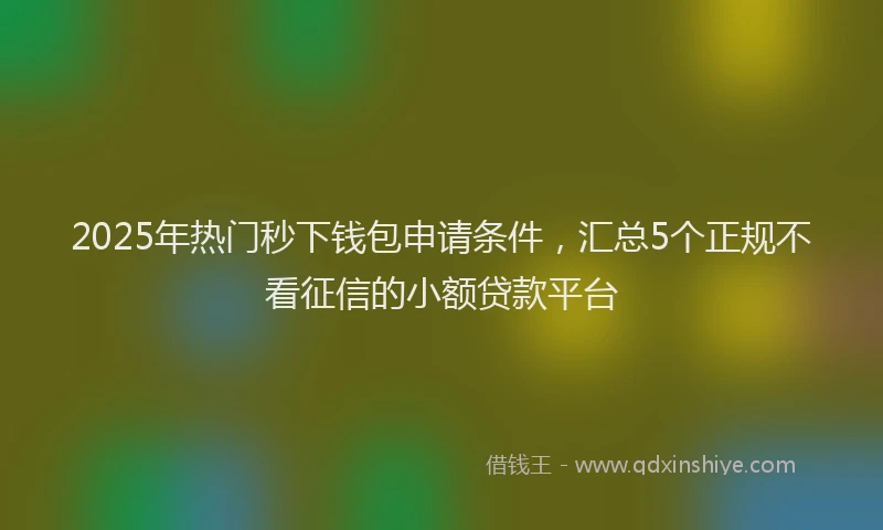2025年热门秒下钱包申请条件，汇总5个正规不看征信的小额贷款平台