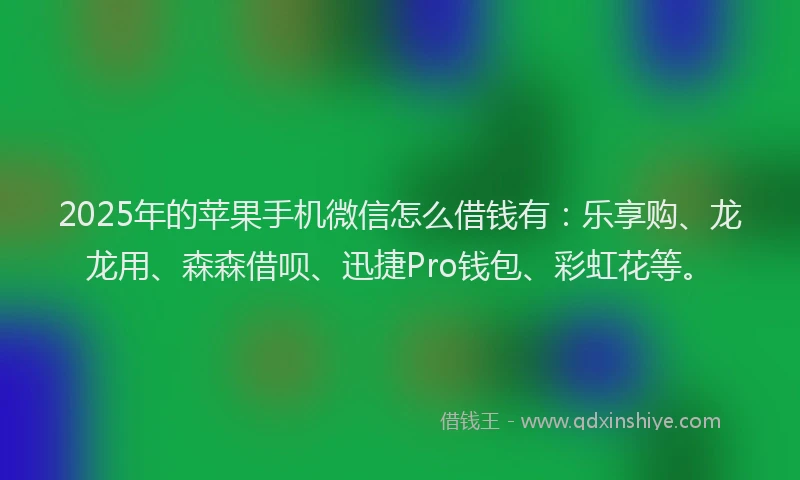 2025年的苹果手机微信怎么借钱有：乐享购、龙龙用、森森借呗、迅捷Pro钱包、彩虹花等。