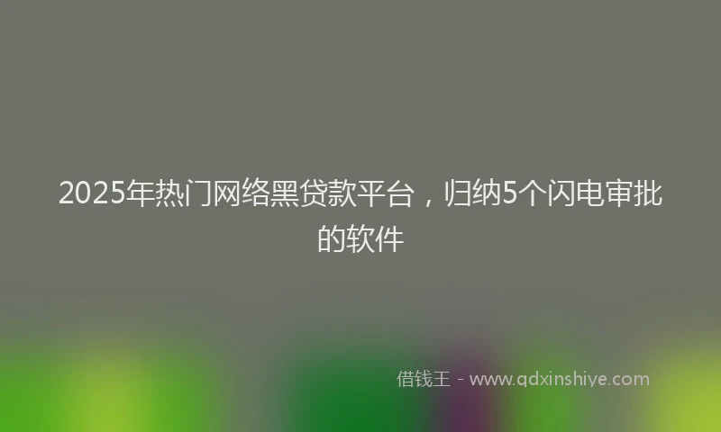 2025年热门网络黑贷款平台，归纳5个闪电审批的软件