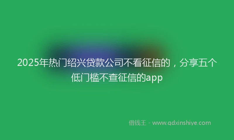 2025年热门绍兴贷款公司不看征信的，分享五个低门槛不查征信的app