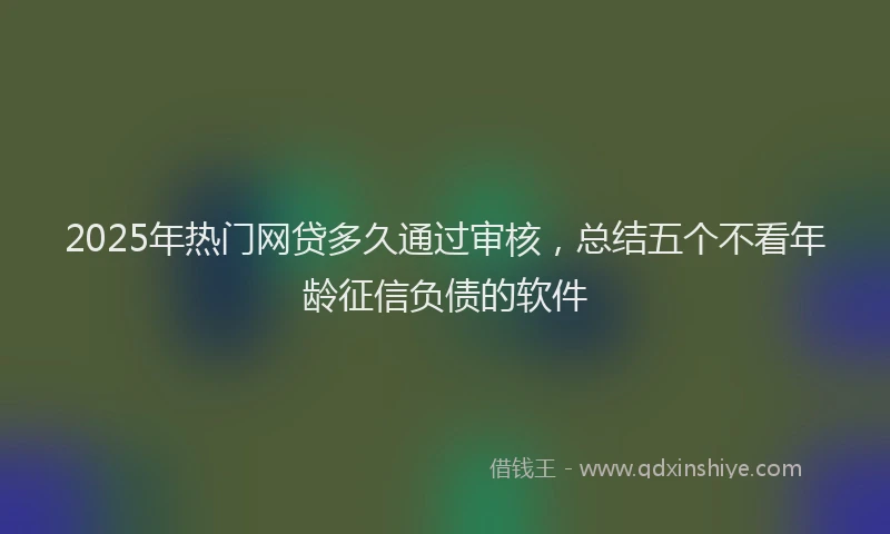 2025年热门网贷多久通过审核，总结五个不看年龄征信负债的软件