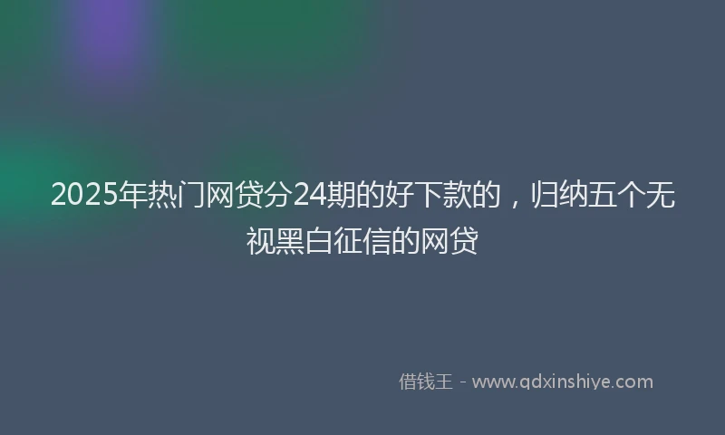 2025年热门网贷分24期的好下款的，归纳五个无视黑白征信的网贷