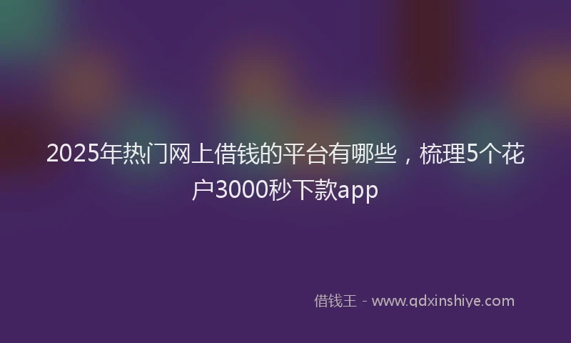 2025年热门网上借钱的平台有哪些，梳理5个花户3000秒下款app