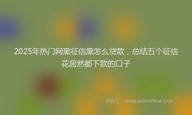 2025年热门网黑征信黑怎么贷款，总结五个征信花居然都下款的口子