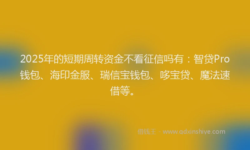 2025年的短期周转资金不看征信吗有：智贷Pro钱包、海印金服、瑞信宝钱包、哆宝贷、魔法速借等。