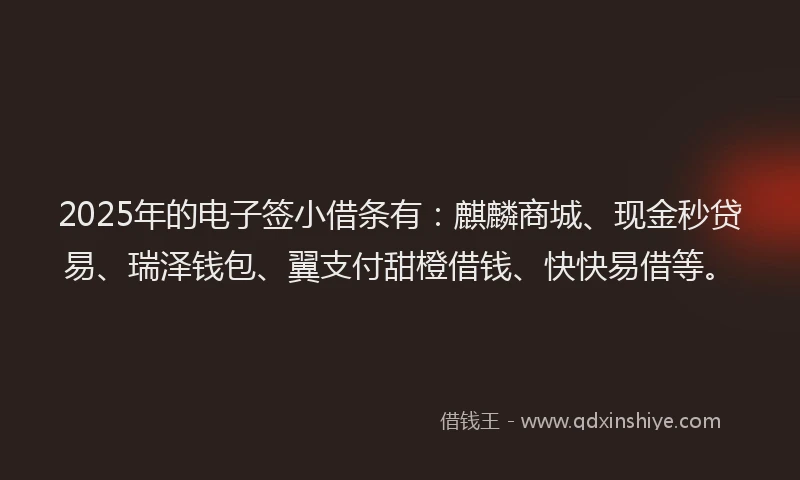 2025年的电子签小借条有：麒麟商城、现金秒贷易、瑞泽钱包、翼支付甜橙借钱、快快易借等。