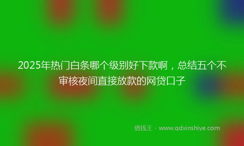 2025年热门白条哪个级别好下款啊，总结五个不审核夜间直接放款的网贷口子