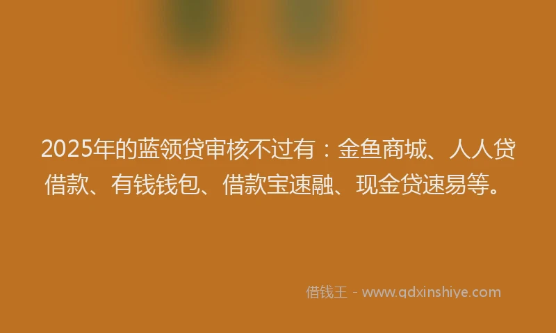 2025年的蓝领贷审核不过有：金鱼商城、人人贷借款、有钱钱包、借款宝速融、现金贷速易等。