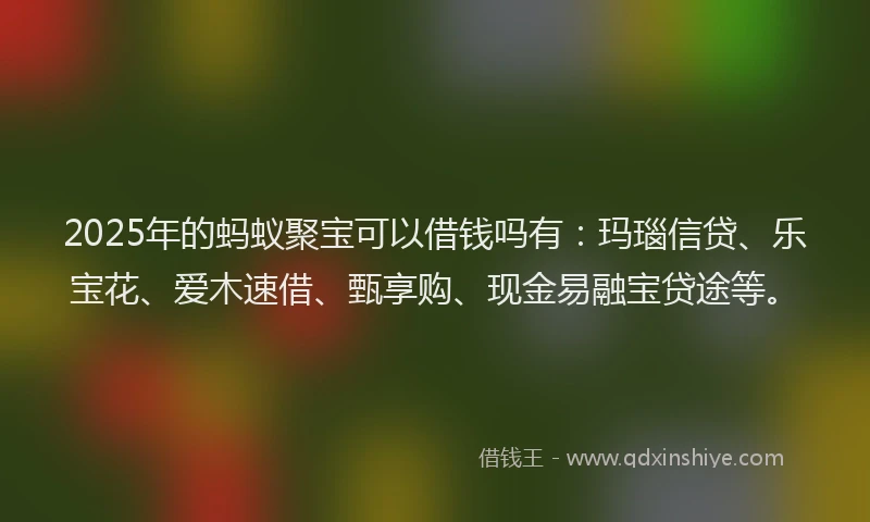 2025年的蚂蚁聚宝可以借钱吗有：玛瑙信贷、乐宝花、爱木速借、甄享购、现金易融宝贷途等。