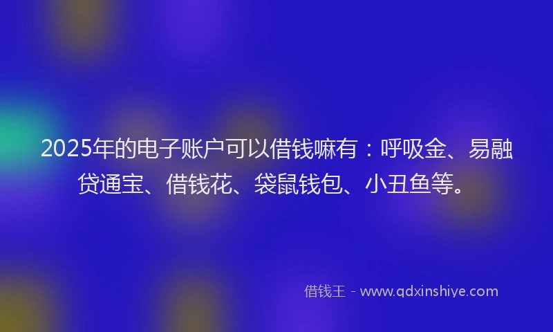 2025年的电子账户可以借钱嘛有：呼吸金、易融贷通宝、借钱花、袋鼠钱包、小丑鱼等。