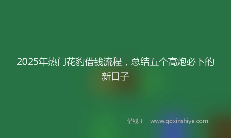 2025年热门花豹借钱流程，总结五个高炮必下的新口子