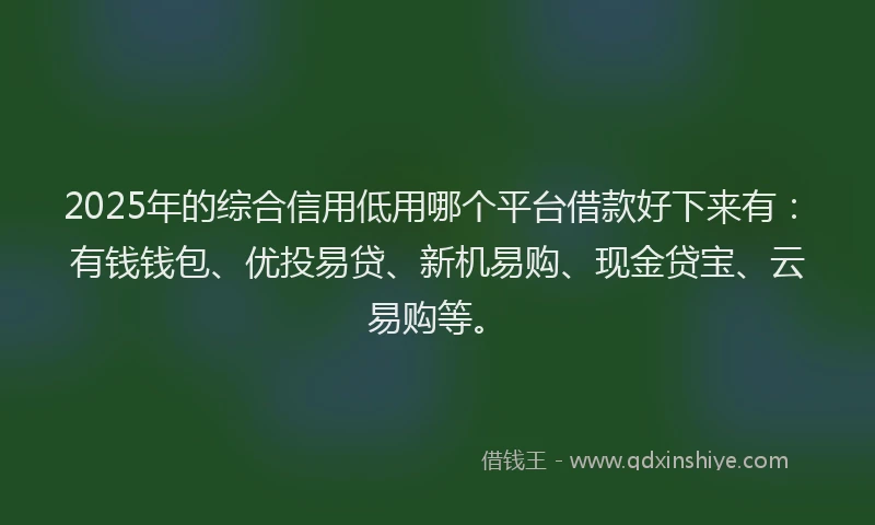 2025年的综合信用低用哪个平台借款好下来有：有钱钱包、优投易贷、新机易购、现金贷宝、云易购等。