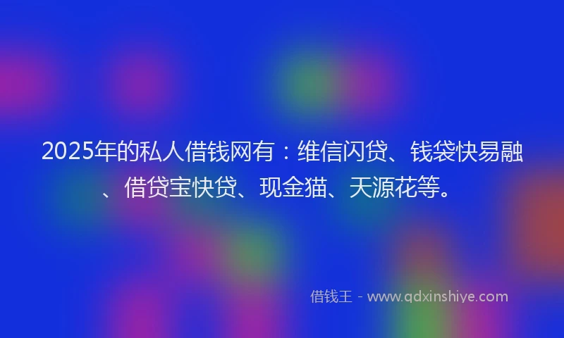 2025年的私人借钱网有：维信闪贷、钱袋快易融、借贷宝快贷、现金猫、天源花等。
