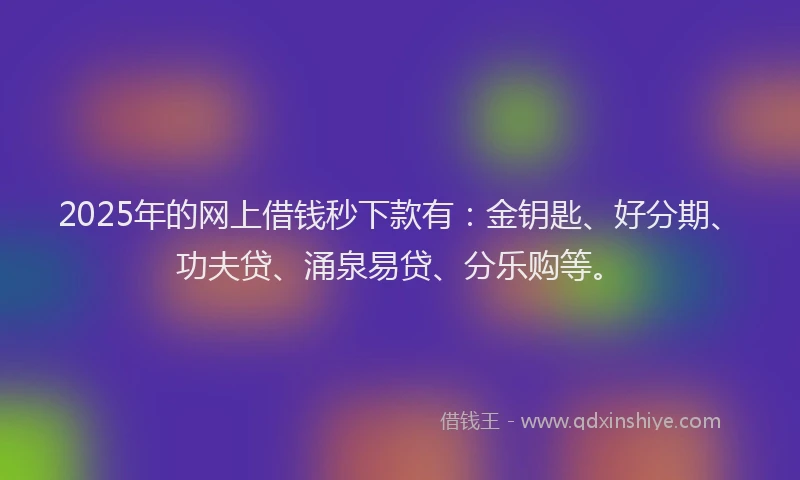 2025年的网上借钱秒下款有：金钥匙、好分期、功夫贷、涌泉易贷、分乐购等。