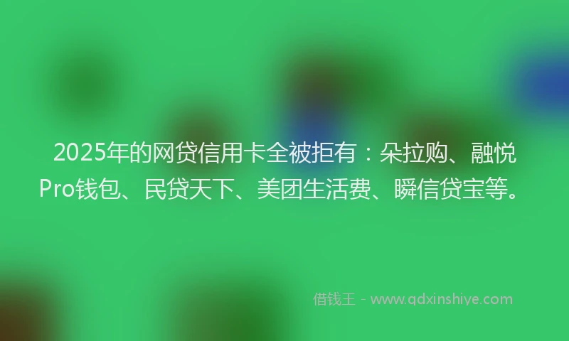 2025年的网贷信用卡全被拒有：朵拉购、融悦Pro钱包、民贷天下、美团生活费、瞬信贷宝等。