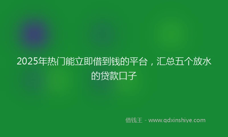 2025年热门能立即借到钱的平台，汇总五个放水的贷款口子