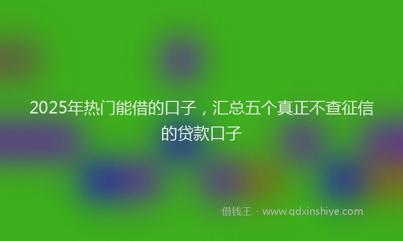2025年热门能借的口子，汇总五个真正不查征信的贷款口子