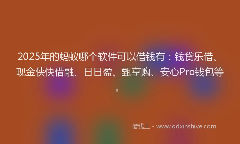 2025年的蚂蚁哪个软件可以借钱有：钱贷乐借、现金侠快借融、日日盈、甄享购、安心Pro钱包等。