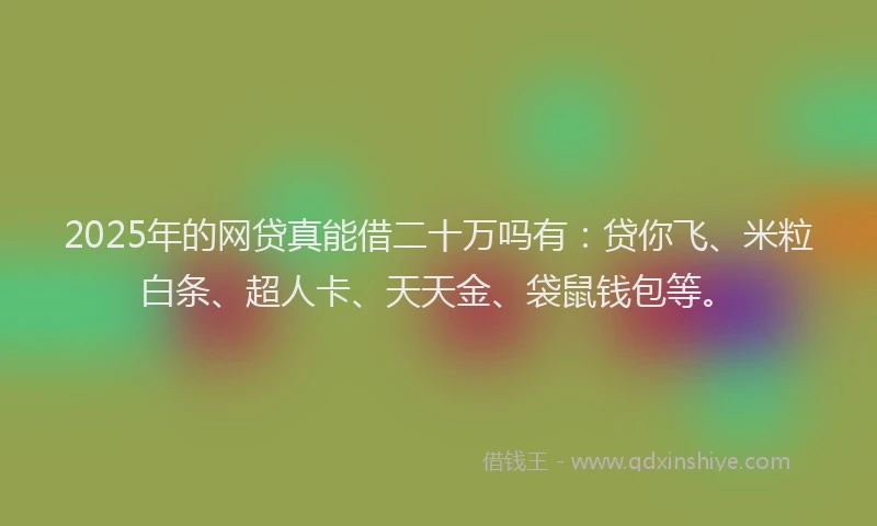 2025年的网贷真能借二十万吗有：贷你飞、米粒白条、超人卡、天天金、袋鼠钱包等。
