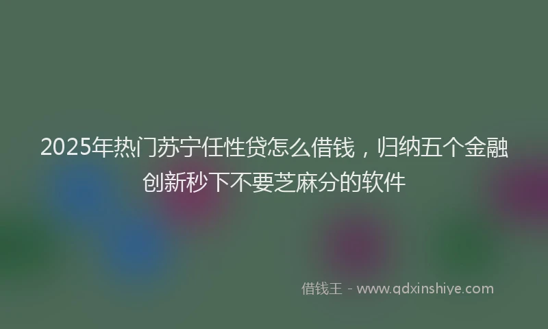 2025年热门苏宁任性贷怎么借钱，归纳五个金融创新秒下不要芝麻分的软件