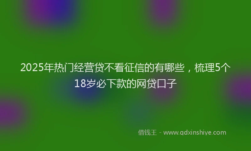 2025年热门经营贷不看征信的有哪些，梳理5个18岁必下款的网贷口子