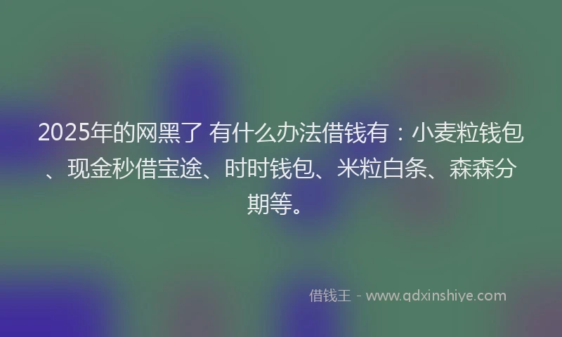 2025年的网黑了 有什么办法借钱有：小麦粒钱包、现金秒借宝途、时时钱包、米粒白条、森森分期等。