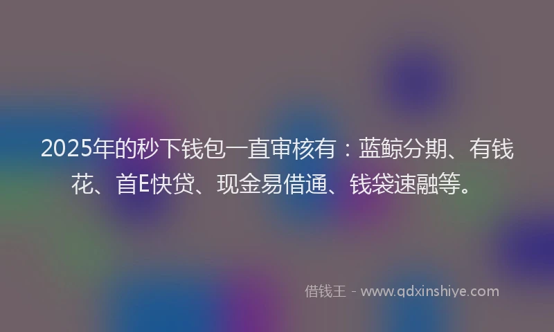 2025年的秒下钱包一直审核有：蓝鲸分期、有钱花、首E快贷、现金易借通、钱袋速融等。